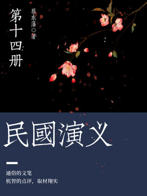 cover image of 蔡东藩经典历史小说：民国演义（14）